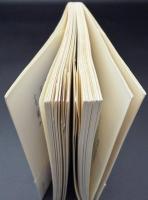 西洋哲学史 : 近代から現代へ