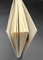 わたしたち消費 : カーニヴァル化する社会の巨大ビジネス