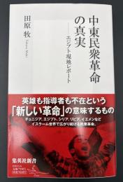 中東民衆革命の真実 : エジプト現地レポート
