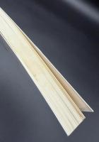 壬申の乱 : 天皇誕生の神話と史実