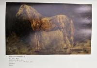 馬の博物館所蔵品図録