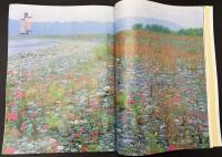 サライ　1993/9/2　特集：鰯を見直す／駅構内の老舗／鰻と漆喰の芸術／福岡正信