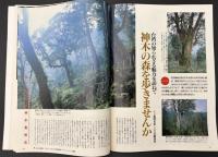 サライ　1993/6/3　特集：ちんどんの音が聞こえる／アナログ派健在なり／明治のニッポン非公式ガイド／宗左近