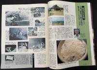 サライ　1993/2/18　特集：多趣味が人生を豊かにする チャーチルがお手本／絶滅寸前・食材カタログ／古写真に刻まれたモンゴロイド／伝統のシティホテルⅡ