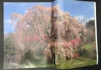 サライ 1994/4/7 特集：伝統の花見料理／第28代木村庄之助／大人の修学旅行 伊勢神宮／快適！ステーション・ワゴンの全て