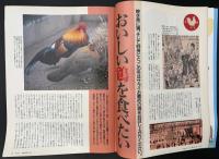 サライ 1994/1/1　特集：おいしい鶏を食べたい／柳宗理／広告美人画／浜の宝物／御利益と愛嬌／日本の縁起物／文豪にならう時候の挨拶文