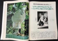 サライ 1993/12/16 特集：これが本物 烏龍茶を極める／ヘミングウェイ家の65匹の猫たち／和蠟燭で暗闇の贅沢