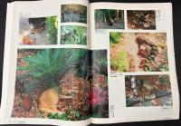 サライ 1993/12/16 特集：これが本物 烏龍茶を極める／ヘミングウェイ家の65匹の猫たち／和蠟燭で暗闇の贅沢