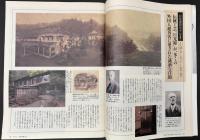 サライ 1996/6/6 特集：特上の佃煮／ご近所散歩用植物図鑑／明治の外国人に愛された宿／名園ガイド