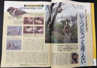 サライ 1996/3/21  特集：自分だけの趣味を持つ／豪邸で味わう料理／河鍋暁斎