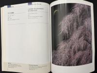 東美特別展　Special Triennial Tobi Art Fair 2013