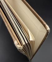 ART NOUVEAU revolution in interior design