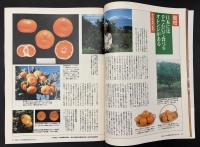 サライ　1990/10/4　