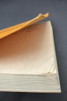 【ドイツ語洋書】『Die Entstehung des Lebens aus biophysikalischer Sicht』 『生物物理学的視点から見た生命の起源』