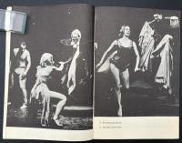 【英語洋書】The Balcony『バルコニー』