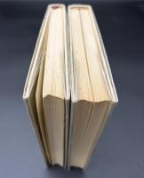 戦時下抵抗の研究　Ⅰ・Ⅱ