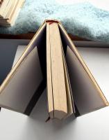 アメリカ阿呆旅行わん・つう・すりー