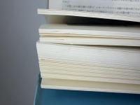 星をつけた子供たち : ナチ支配下のユダヤの子供たち