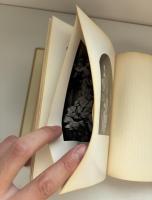 美術史の基礎概念 : 近世美術に於ける様式発展の問題