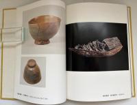 朝日焼 : カラー 土は生きている