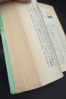 わんぱく天国 : 按針塚の少年たち