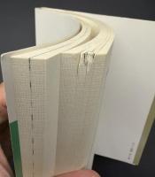 小さな国のつづきの話 : コロボックル物語5