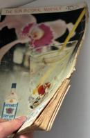 サングラフ 1956/4