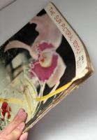 サングラフ 1956/4