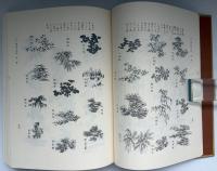 芥子園画伝国訳釈解 : 東洋画の描き方詳解