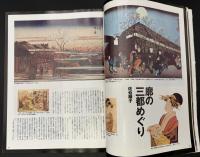太陽　1993年6月号　特集：江戸のアンダーワールド／八百八町の犯罪人／色好みの極楽／闇の幽霊／辻の妖怪