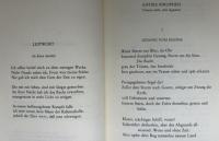 【ドイツ語洋書】『Adel und Untergang（高貴と没落）』