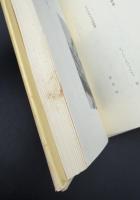 現代アイルランド短編小説集
