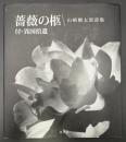 薔薇の柩 : 付・異国拾遺 : 山崎剛太郎詩集
