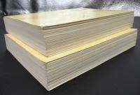 若き獅子たち　2冊