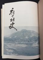 府中村史