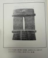 存在から発展へ : 物理科学における時と多様性
