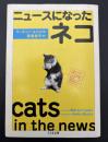 ニュースになったネコ