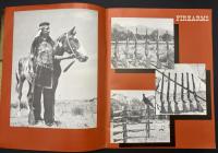 WINCHESTER　INTERNATIONAL　1967 CATALOG　SPOTING ARMS AND AMMUNITION