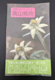 高山植物