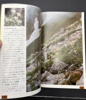 高山植物