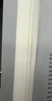 月刊地球　2000年1月号　脆性破壊　塑性変形領域の断層岩と地震