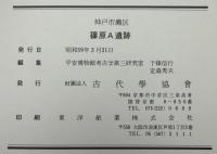 篠原A遺跡