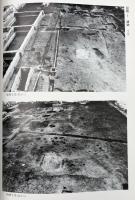 本山遺跡発掘調査報告書