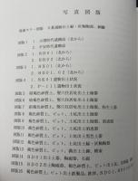 日暮遺跡発掘調査報告書
