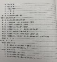 大開遺跡発掘調査報告書