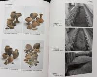北青木遺跡第8次発掘調査報告書　阪神電気鉄道本線住吉・芦屋間連続立体交差事業に伴う埋蔵文化財発掘調査