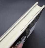 フッサール現象学への視角