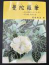 曼陀羅華 : 私の朝鮮人キリシタン : 私の続高山右近