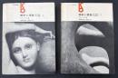 美術と視覚 : 美と創造の心理学　2冊セット
