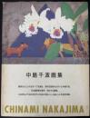 中島千波画集